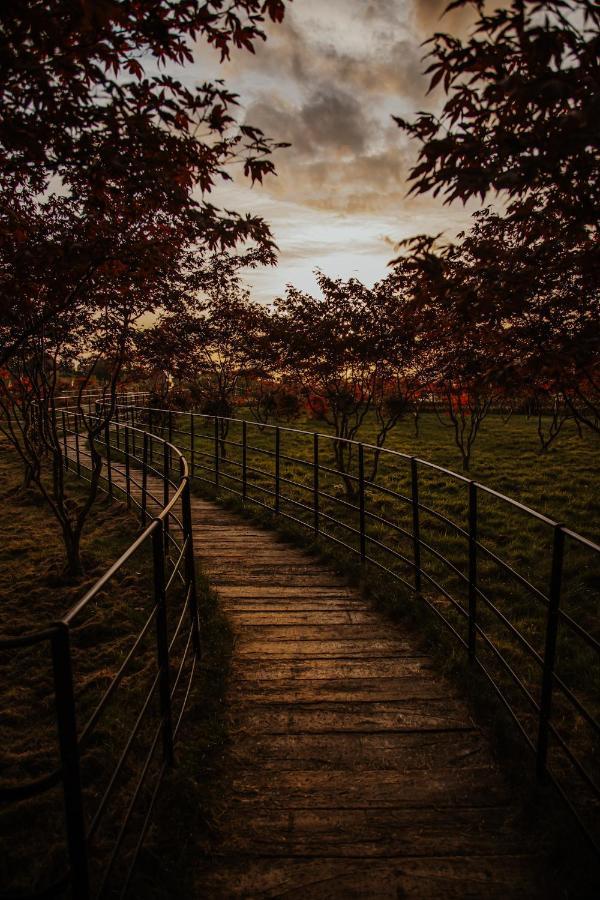 Готель The Rudloe Near Bath - Marco Pierre White Коршем Екстер'єр фото